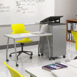 cat-education-furniture